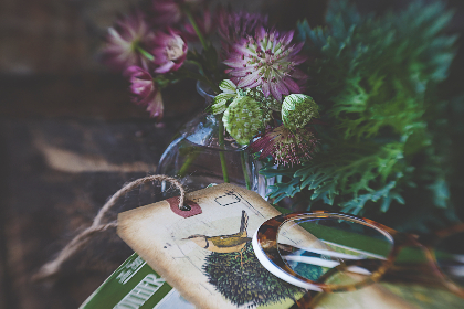 伟博娱乐的未来发展趋势:科技与娱乐的完美结合 伟博娱乐的未来发展趋势:科技与娱乐的完美结合