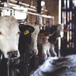 优博娱乐:带你领略多元化的在线娱乐世界 7oc38zg3ec