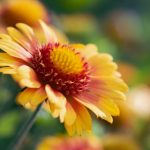 从传统到现代:鸿海娱乐的转型与创新之路 asqgl1pe2