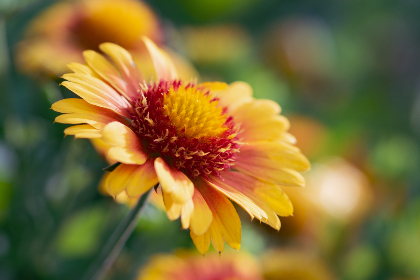 从传统到现代:鸿海娱乐的转型与创新之路 从传统到现代:鸿海娱乐的转型与创新之路