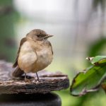 众发娱乐与用户体验:打造更具吸引力的娱乐内容 j84dewu0