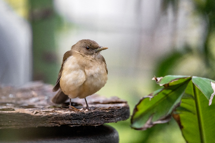 众发娱乐与用户体验:打造更具吸引力的娱乐内容 众发娱乐与用户体验:打造更具吸引力的娱乐内容