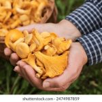 从零开始:如何在28quan.com上创建成功的个人品牌 nkt5i