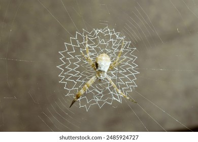 从历史看九五之尊:如何影响中国封建社会的统治结构 从历史看九五之尊:如何影响中国封建社会的统治结构