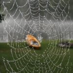 从新手到高手:玩转av老虎机的必备指南 un3as5