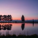 优德娱乐平台的安全性与用户体验深度解析 xl3eadil