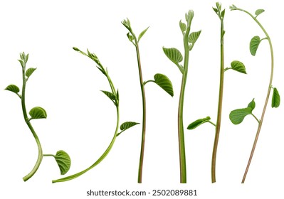 36o中超直播:绿茵激战全程高清实时放送 36o中超直播:绿茵激战全程高清实时放送